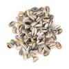 Cowrie Shells (Small)