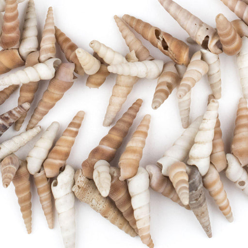 West African Porcupine Shell Beads (Brown) - The Bead Chest