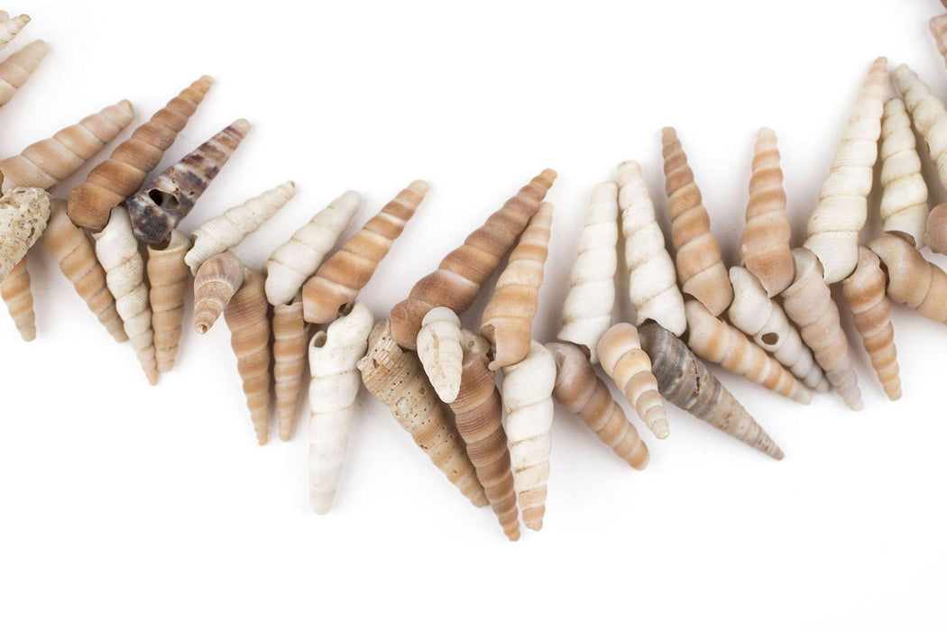 West African Porcupine Shell Beads (Brown) - The Bead Chest