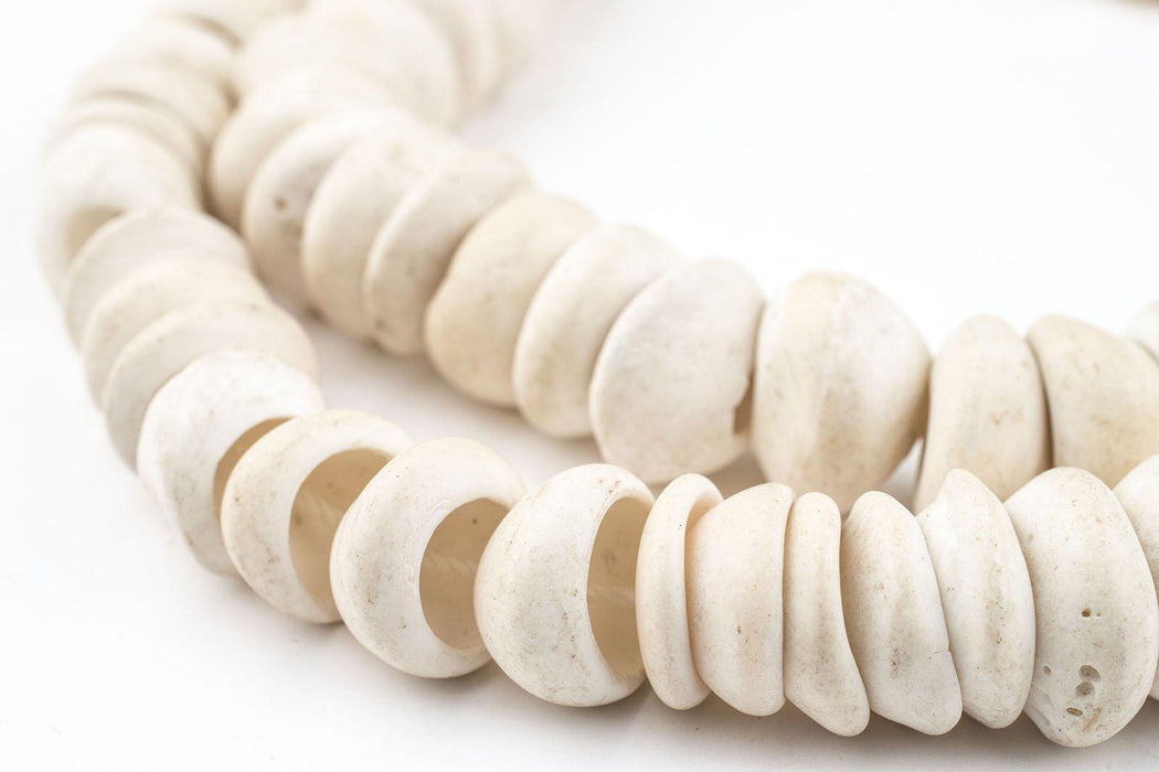 Natural West African Shell Beads (White) - The Bead Chest