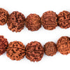 Rudraksha Mala Prayer Beads (18mm)