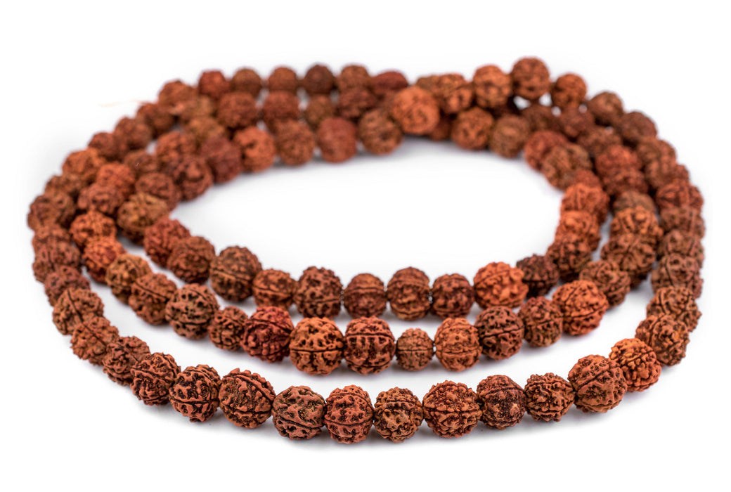 Rudraksha Mala Prayer Beads (18mm) - The Bead Chest