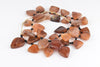 Hot Deal: Carnelian Stone Medallion Beads (20-27x17-25)