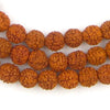 Rudraksha Natural Seed Prayer Beads (8mm)