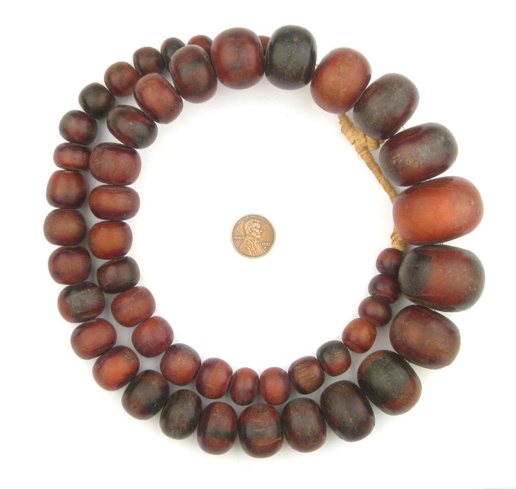 Togo Jumbo Natural Horn Beads (Amber) - The Bead Chest