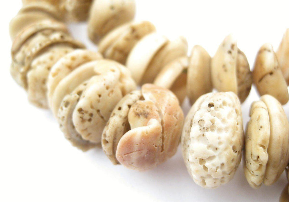 Antique Mauritanian Dark Conus Shell Beads (Graduated) - The Bead Chest