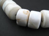 Graduated Cylinder Naga Shell Beads - The Bead Chest