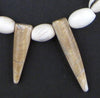 Oval Tooth Shell Necklace