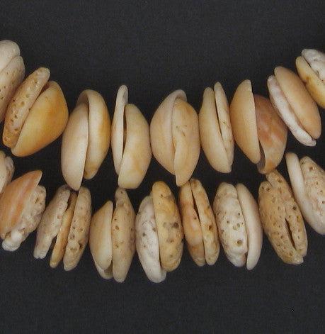 Antique Mauritanian Conus Shell Beads (Graduated) - The Bead Chest