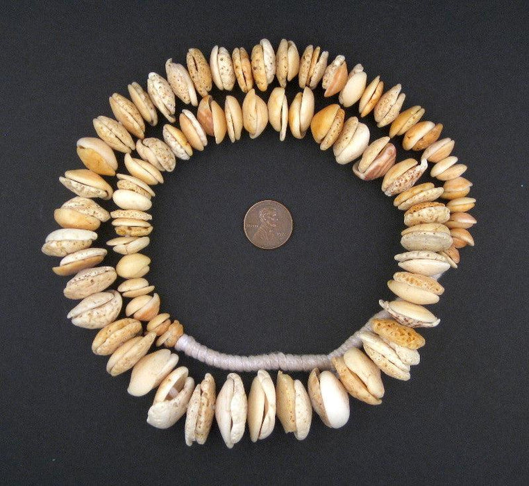 Antique Mauritanian Conus Shell Beads (Graduated) - The Bead Chest