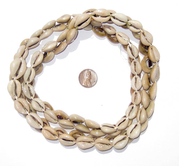 Kenyan Cowrie Shell Beads - The Bead Chest