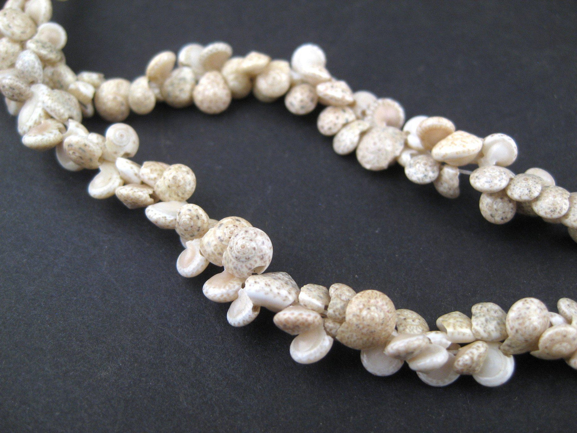 Gambian Baby Shell Beads — The Bead Chest