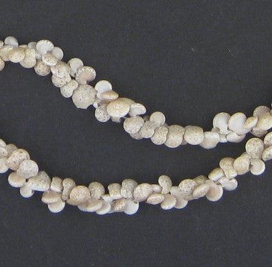 Gambian Baby Shell Beads - The Bead Chest