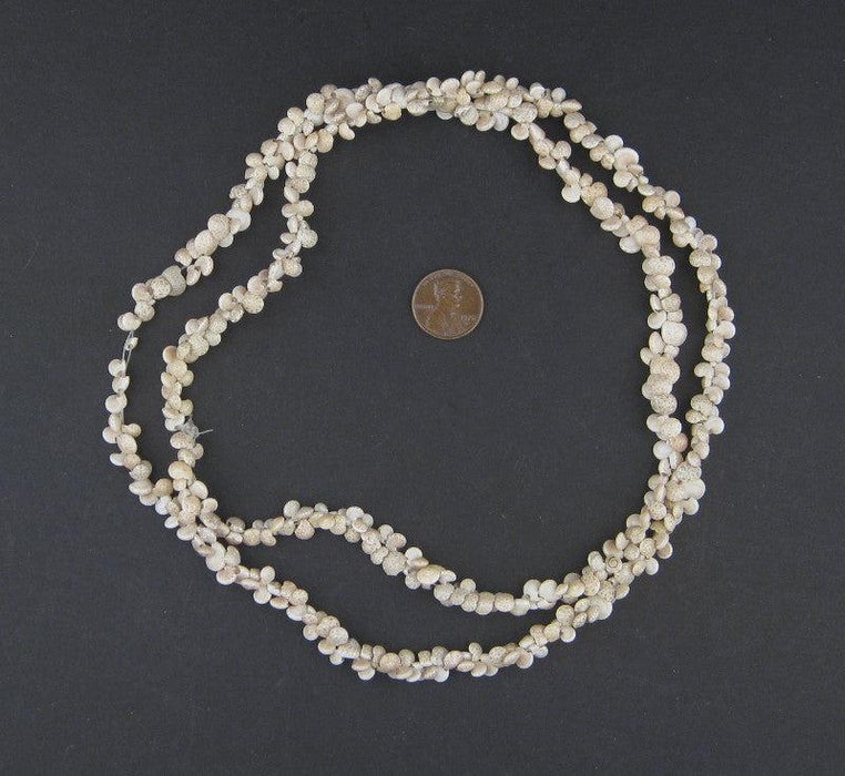 Gambian Baby Shell Beads - The Bead Chest