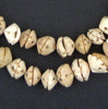 Antique Mauritanian Conus Shell Beads