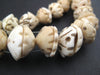 Antique Mauritanian Conus Shell Beads - The Bead Chest