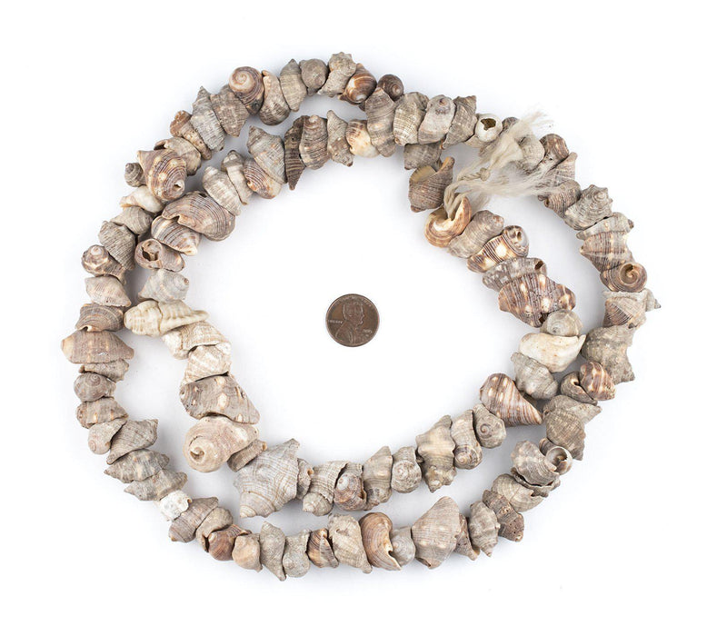 Burundi Brown Natural Seashell Beads - The Bead Chest