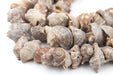 Gambian Grey Natural Seashell Beads (Long Strand) - The Bead Chest