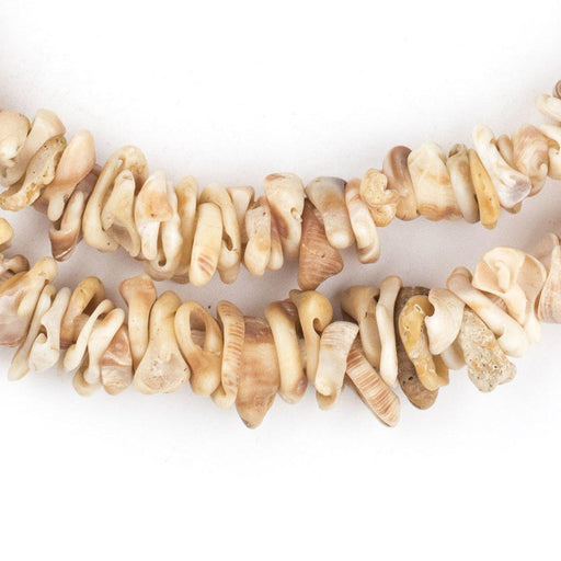 Natural African Shell Shard Beads - The Bead Chest