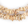 Natural African Shell Shard Beads