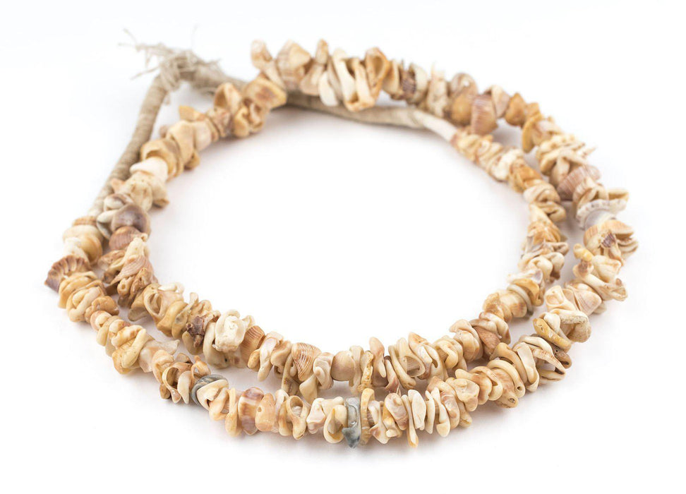 Natural African Shell Shard Beads — The Bead Chest