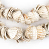 West African Sea Shell Beads