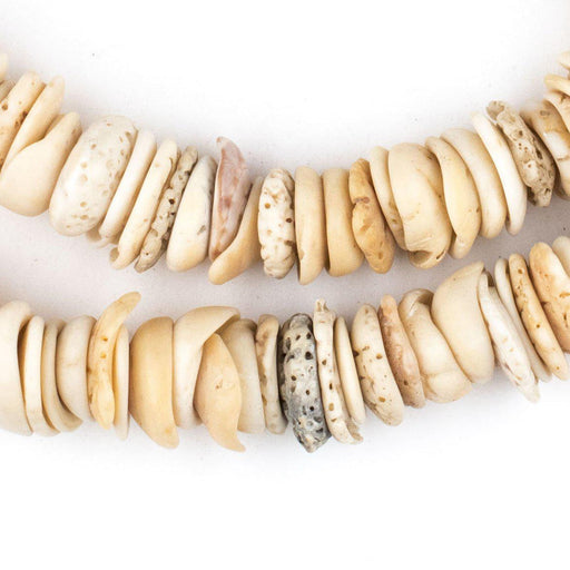 Antique Mauritanian Conus Shell Beads (10-35mm) - The Bead Chest