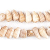 Spotted African Cowrie Shell Beads