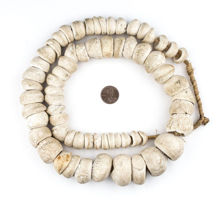 Jumbo Natural West African Shell Beads (White) - The Bead Chest