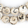 Circular Spiral Naga Shell Beads (17mm)