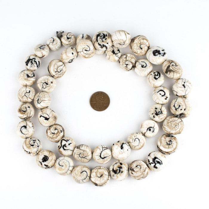Circular Spiral Naga Shell Beads (17mm) - The Bead Chest