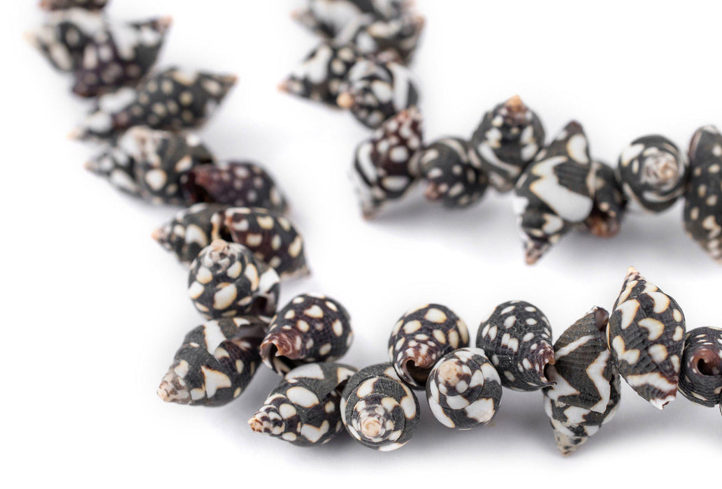 Black Tiger Natural Shell Beads - The Bead Chest