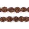 Rudraksha Mala Prayer Beads (12mm)