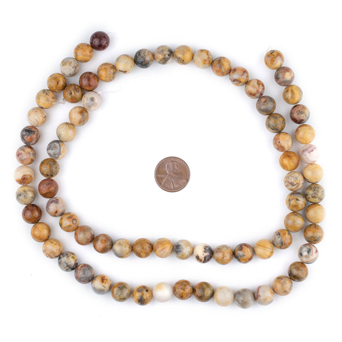 Round Crazy Lace Agate Beads (10mm) - The Bead Chest