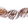 Pacific Brown Decorative Shell Beads (40 Inch Strand)