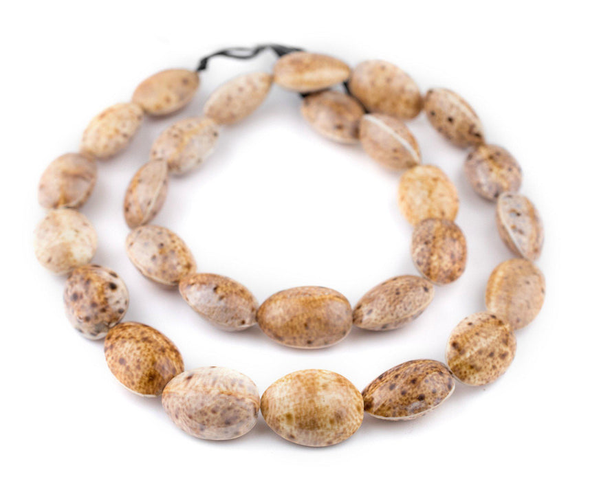 Beige Decorative Shell Beads (40 Inch Strand) - The Bead Chest