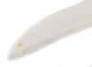 Wing-Shaped White Bone Pendant (110mm) - The Bead Chest
