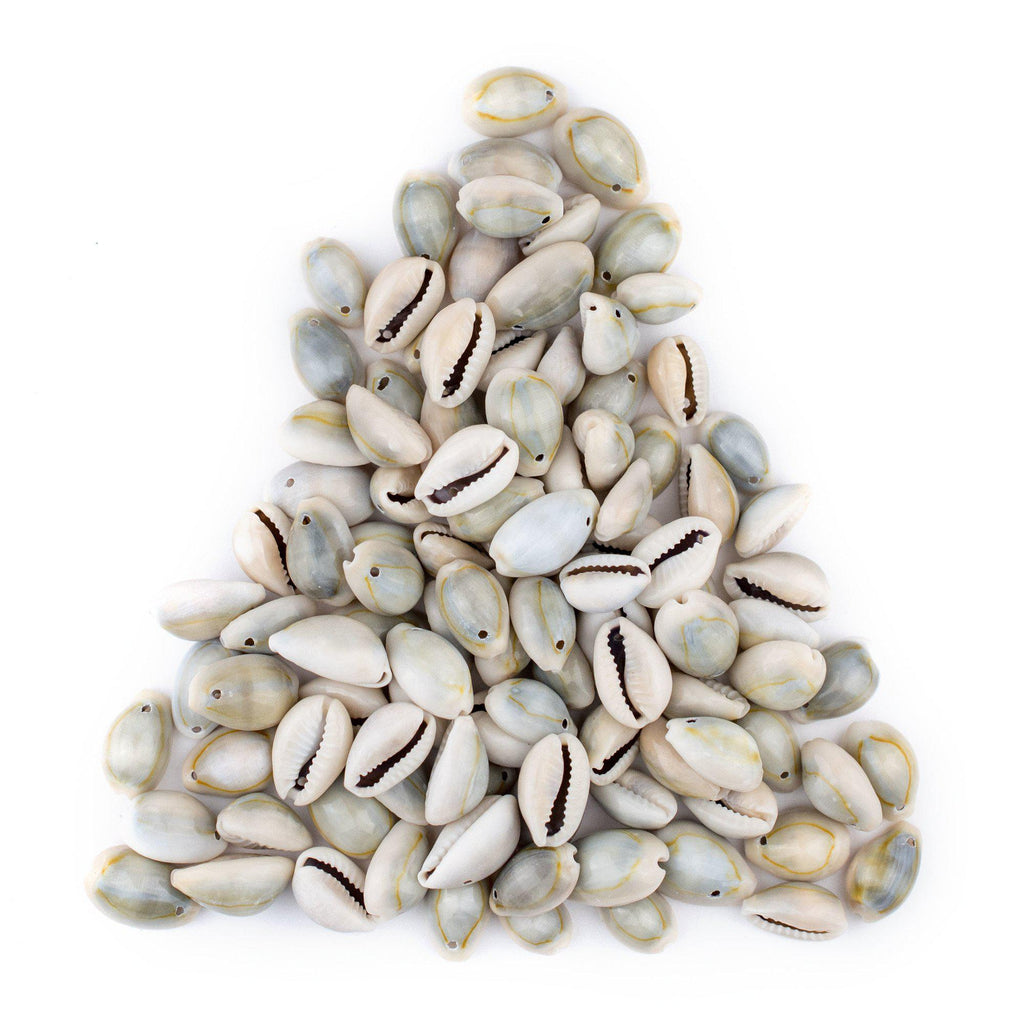 Shell Beading Shell Beads — The Bead Chest