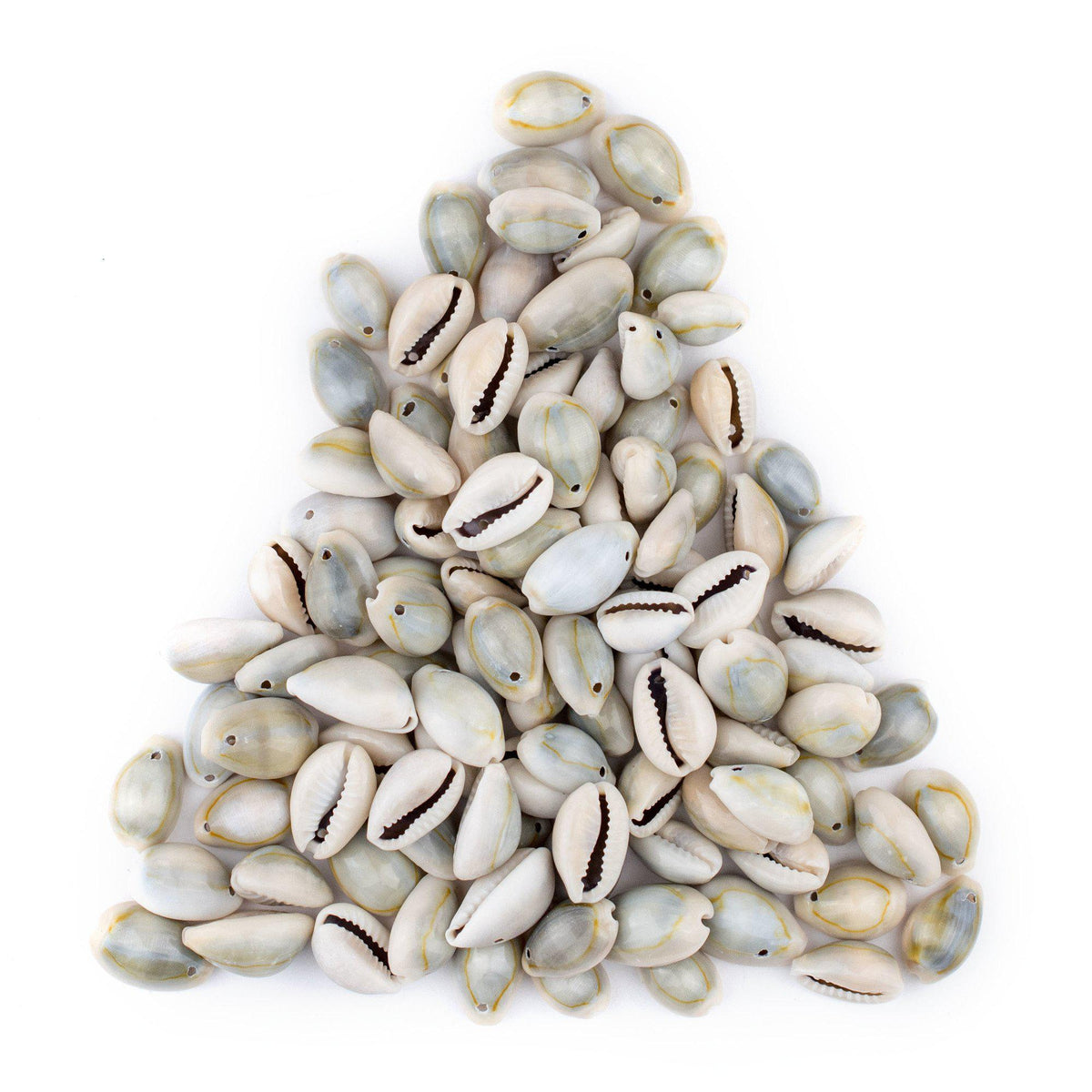 Bead, cowrie shell (natural), 15x7mm-25x12mm double-drilled, Mohs