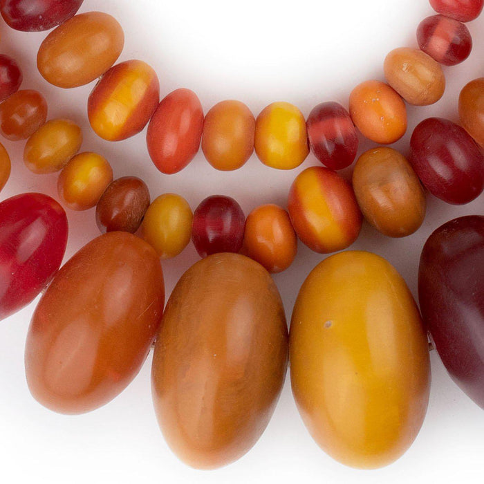 Premium Graduated Kenya Amber Resin Beads - The Bead Chest