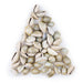 Drilled Cowrie Shells (Medium) - The Bead Chest