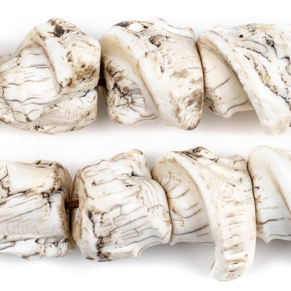 Naga Conch Shell Spiral Beads — The Bead Chest