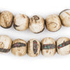 Dark Inlaid Naga Conch Shell Beads (18mm)