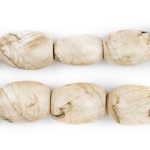 Oval Naga Conch Shell Beads (24x16mm) - The Bead Chest
