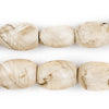 Oval Naga Conch Shell Beads (24x16mm)