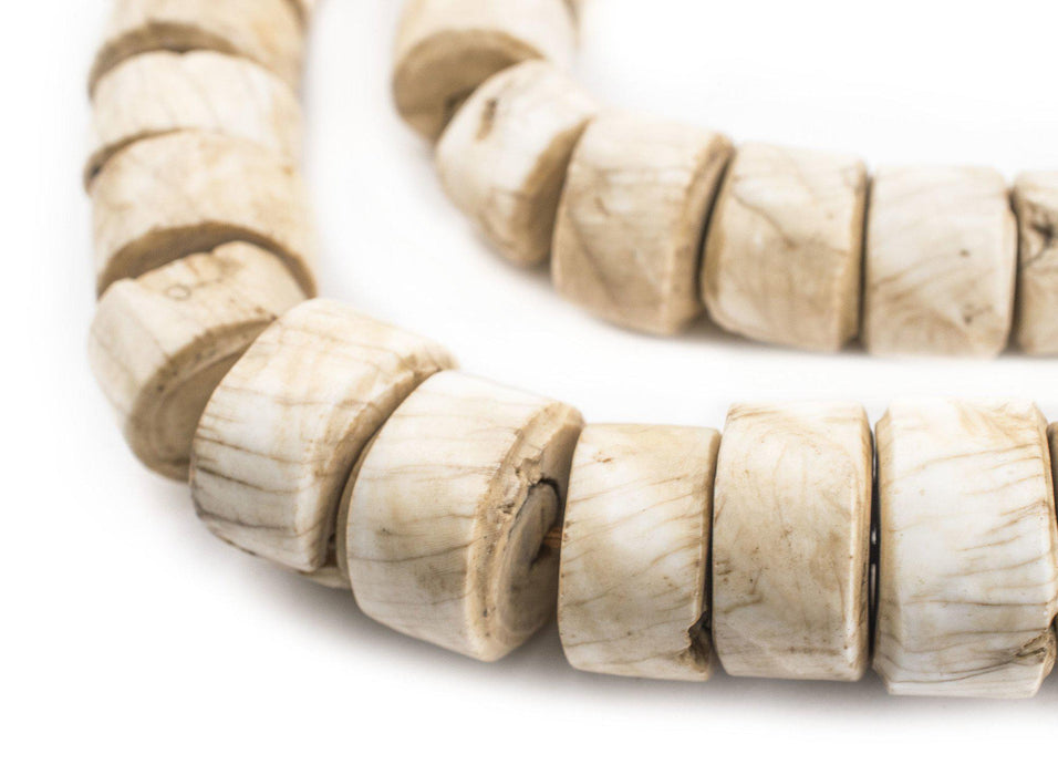 Cylindrical Naga Conch Shell Beads (16mm) - The Bead Chest