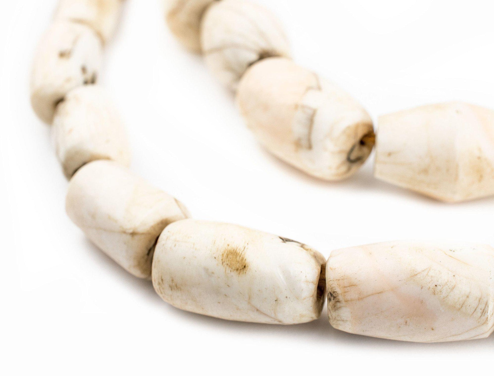 Barrel Naga Conch Shell Beads (14mm) | The Bead Chest