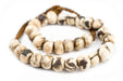 Dark Inlaid Naga Conch Shell Beads (14mm) - The Bead Chest