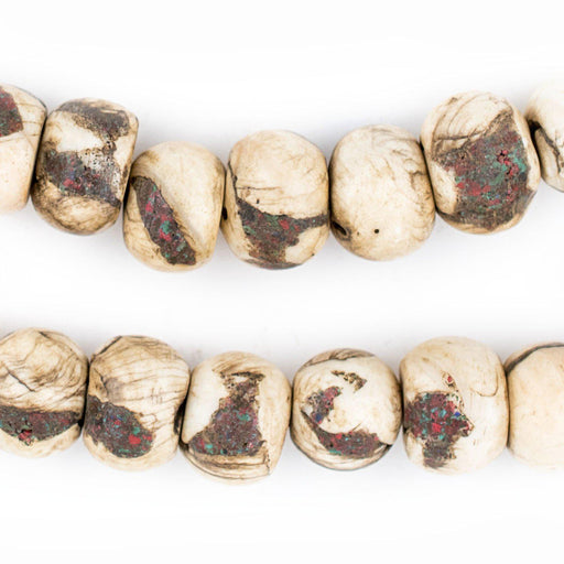 Dark Inlaid Naga Conch Shell Beads (14mm)