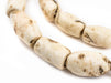 Dark Barrel Naga Conch Shell Beads (14mm) - The Bead Chest